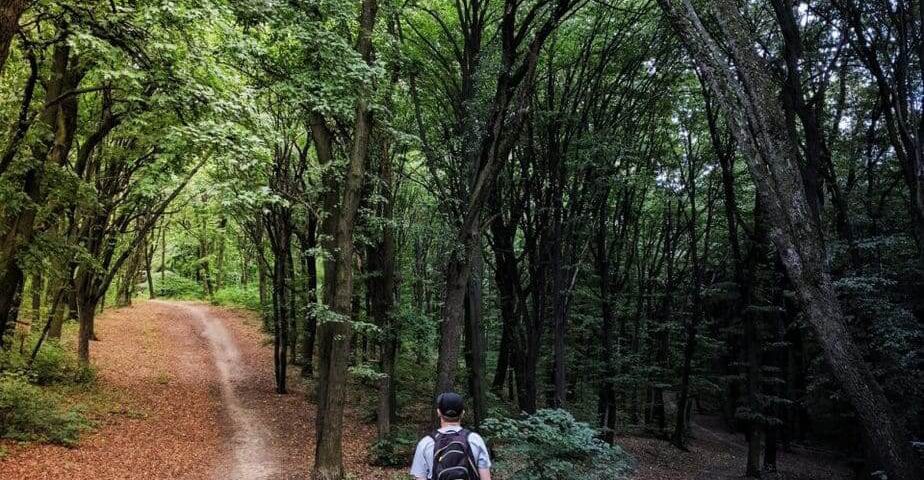 Jak zaplanować życie