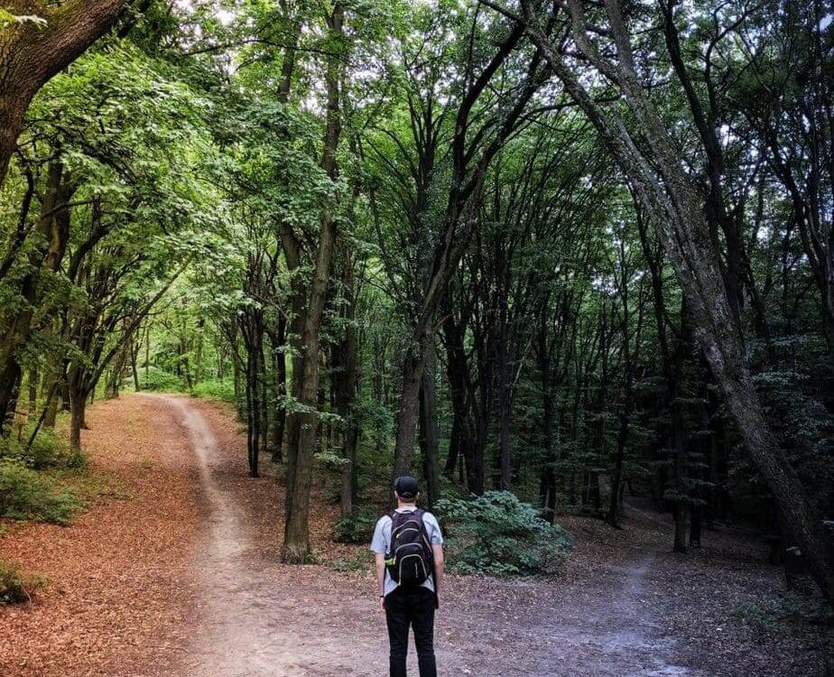 Jak zaplanować życie