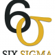 Six Sigma, a lean sixsigma (kompendium!)- doskonalenie procesów, metodyka i szkolenie 2 Six Sigma