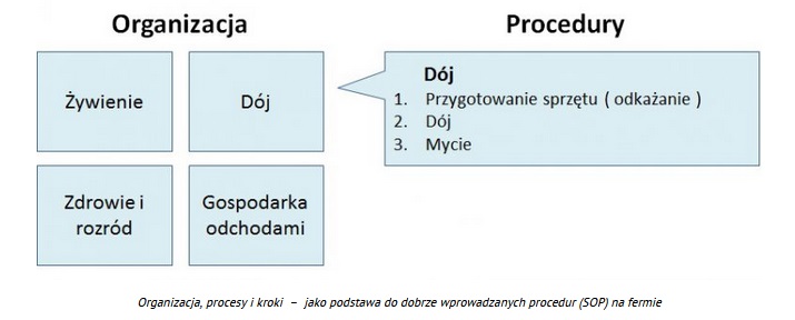 <strong>Jak napisać procedurę przykład</strong> (zawsze aktualny!) 35