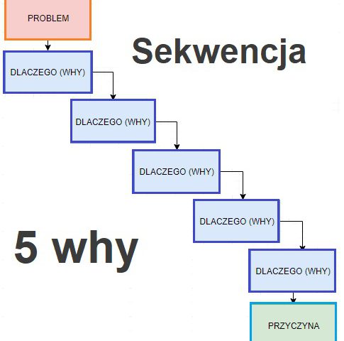 5 why