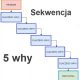 5 why