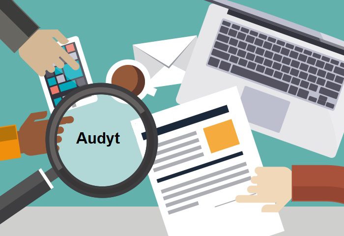 audyt