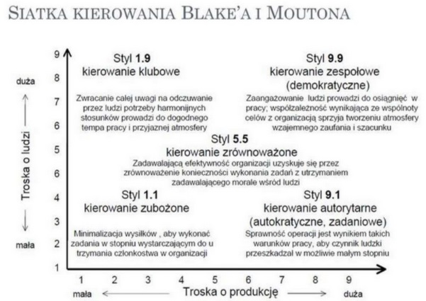 Czym jest przywództwo, jakie cechy powinien posiadać przywódca i jak je rozwijać [zarządzanie i organizacja] 393