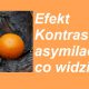 efekt kontrastu