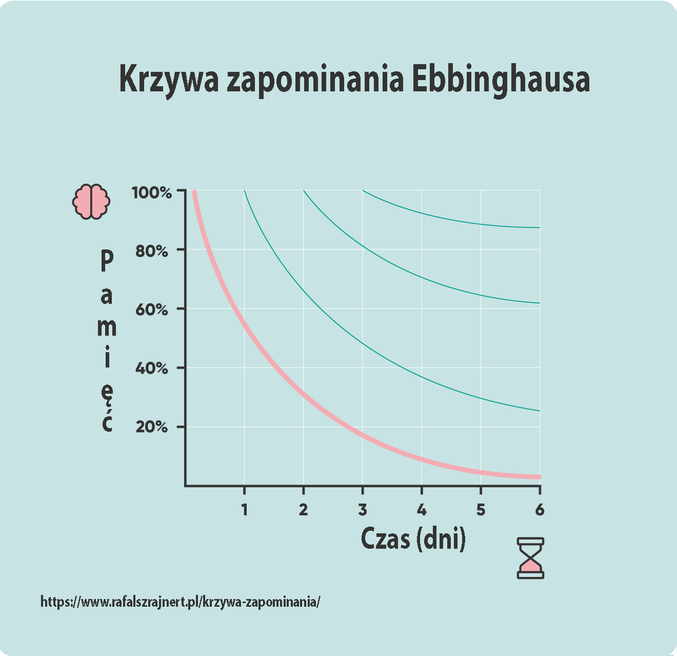 Krzywa zapominania ebbinghausa