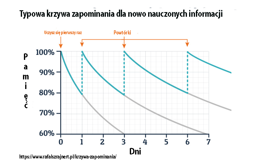 Krzywa zapominania Ebbinghausa. Jak lepiej zapamiętywać (poradnik) 383