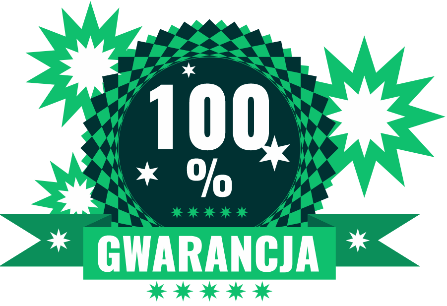 SEO kurs (szkolenie pozycjonowanie i optymalizacja stron, marketing online) 1