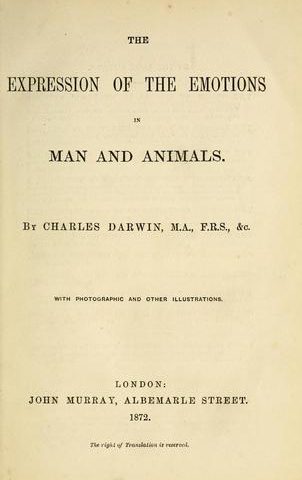 Komunikacja niewerbalna