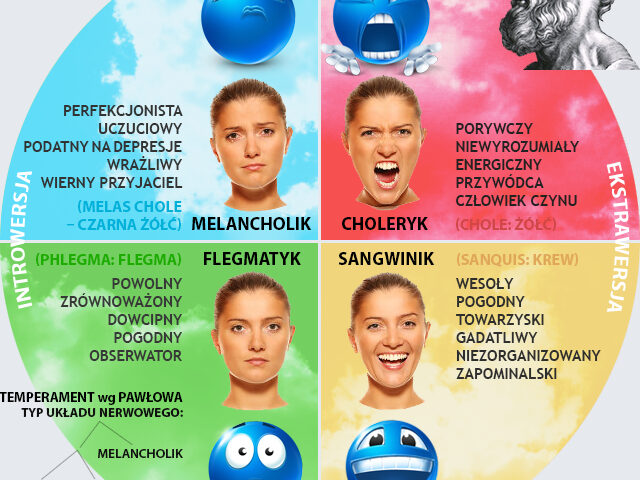 Jakie możemy wyróżnić 4 typy osobowości? 4 4 typy osobowości